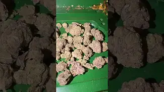 Big Narstie medical hash burger  #uk #medical #patient #flowers #youtubeshorts