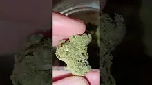 WestPacks420 Video Thumbnail