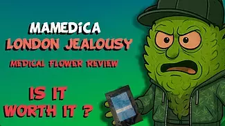 Mamedica | London Jealousy Medical Cannabis review #cannabisbenefits #cookies #cannabisdaily