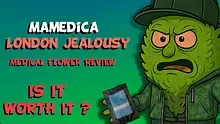 CheeseMon4 Video Thumbnail