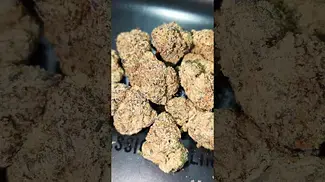 MAMEDICA RED VELVET (UK PRESCRIPTION MEDICATION)