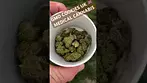GMO COOKIES PEACE NEUTRALS #entourage #backpainrelief #legal #uk #gmo #cookies