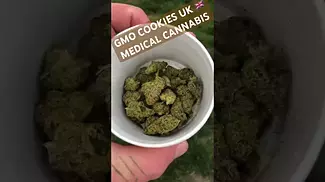 GMO COOKIES PEACE NEUTRALS #entourage #backpainrelief #legal #uk #gmo #cookies