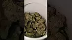 Aurora® Pedanios T27 Farm Gas 