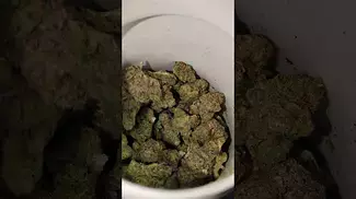 Aurora® Pedanios T27 Farm Gas 