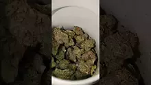 PrescribedBouquet Video Thumbnail