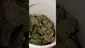 Video Thumbnail: PrescribedBouquet