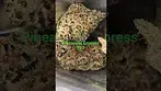 All Nations Pineapple Express T27