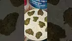 LIT-FOG FLORIDA OG  LEGAL MEDICAL CANNABIS PATIENT 2025
