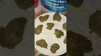 LIT-FOG FLORIDA OG  LEGAL MEDICAL CANNABIS PATIENT 2025