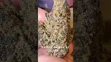 Charlie Chongs Video Thumbnail