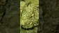 Video Thumbnail: VIP THC