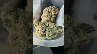 Green Karat |Trillianz | UK Medical Flower #medicalcannabis #ukmedicalcannabis