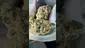 Video Thumbnail: Vybzz 420