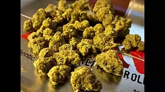 LOT 420 GLT T25 - Gelato #33 - UK Medical Cannabis Review 
