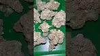 4c labs Jealousy x apples & banana uk medical  #uk #medical #patient #youtubeshorts #flowers