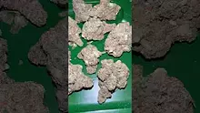 Bajan Video Thumbnail