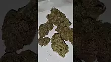 Welcome to the Press Video Thumbnail