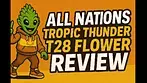 All Nations Tropic Thunder T28 UK medical flower full review