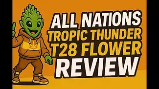 All Nations Tropic Thunder T28 UK medical flower full review