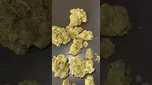 CheeseMon4 Video Thumbnail