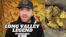High Jack Video Thumbnail