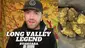 Video Thumbnail: High Jack