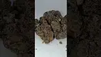 CannFX Zangria #UKMedicalCannabis #MedicalCannabisUK #PatientExperience #CannabisEducation