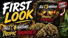 Med Canna Diaries Video Thumbnail
