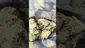 Video Thumbnail: Js Medi Lounge