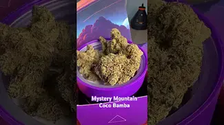 Mystery Mountain Coco Bamba