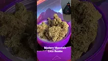 Doc Green Bud Video Thumbnail