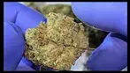 Four20 Pharma - IKM T28 review