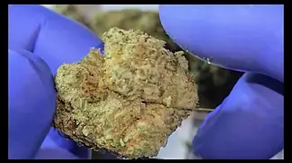 Four20 Pharma - IKM T28 review