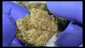 Video Thumbnail: Buds Lullaby UK