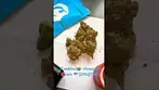 #ukmedical #cookies  (Hawaiian  rain) #(UK)(medical)