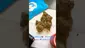 Video Thumbnail: GIggzy Medical Buds