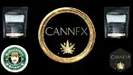 Mochi Gelato By CannFX Review