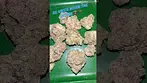 Big narstie medical pink gasoline  #uk #medical #patient #youtubeshorts #flowers