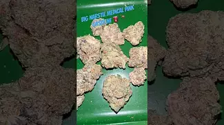 Big narstie medical pink gasoline  #uk #medical #patient #youtubeshorts #flowers