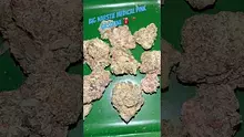 Bajan Video Thumbnail