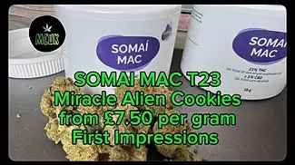 SOMAI MAC T23 Miracle Alien Cookies 