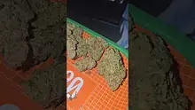 Eazypax420 Video Thumbnail