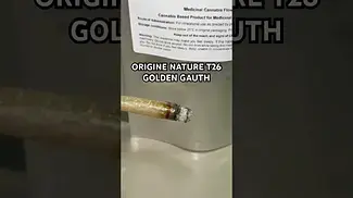 ORIGINE NATURE T26 GOLDEN GAUTH burn