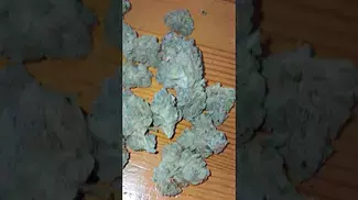 Grow Pharma - French Cookies #cannabisdaily #medicalmarijuanapatient #cannabiseducation