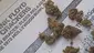 Video Thumbnail: Paul's Pothead Previews