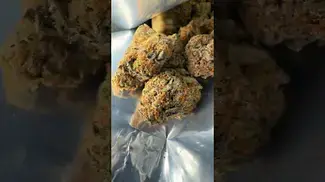 AAAA(LOT420) | High Society | UK Medical Flower |