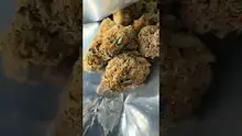 Vybzz 420 Video Thumbnail