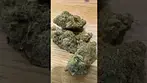 High Green Lemon Diesel Fitter T27 UK Medical