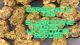 Ceres No. 2 T25 - Slurricane Mints - UK Medical Review